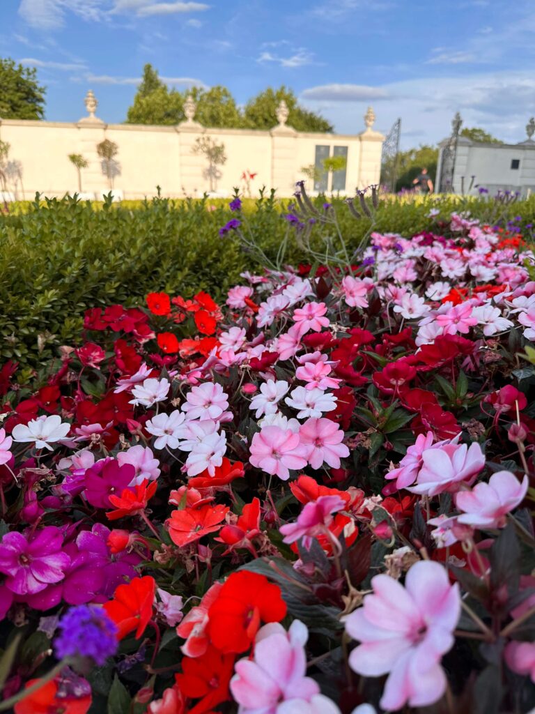 Flowers at the garden of Bratislava Castle.
